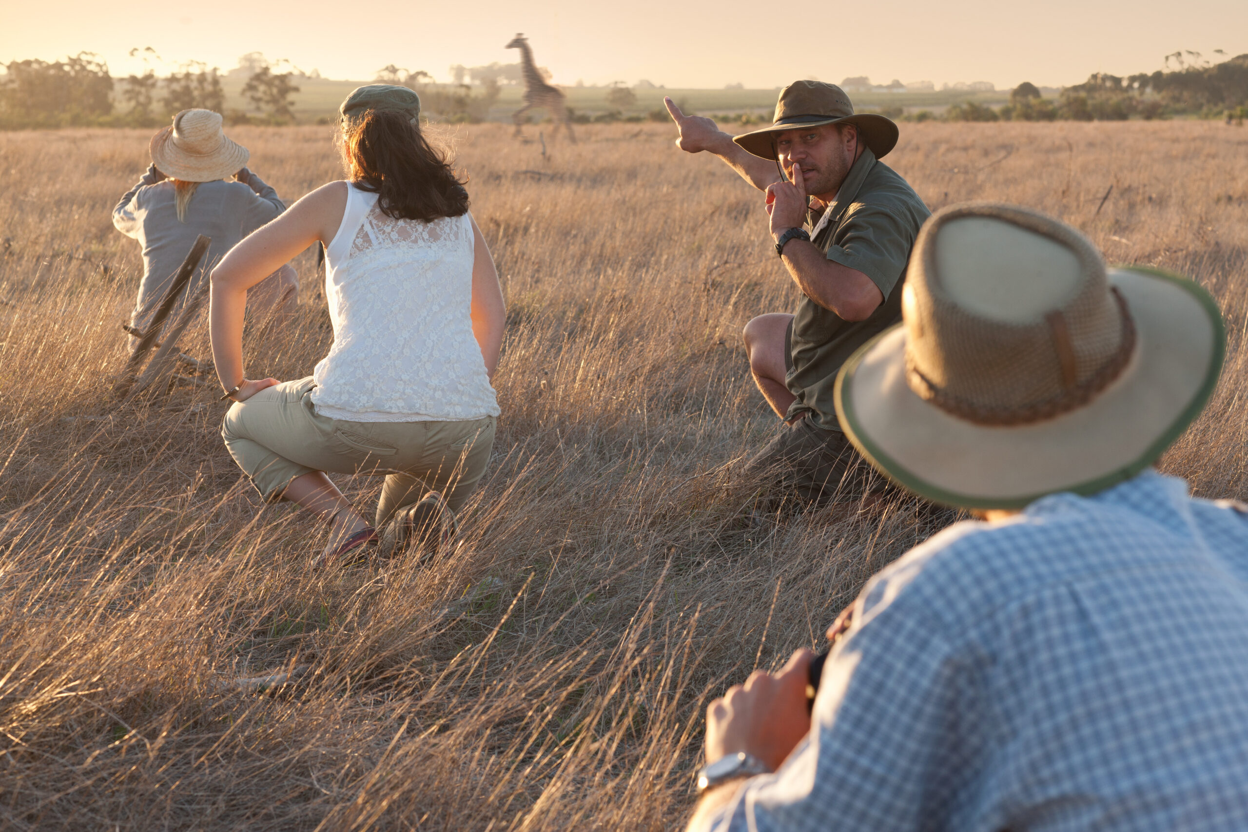 people watching giraffe on safari stellenbosch s 2023 11 27 05 20 02 utc scaled