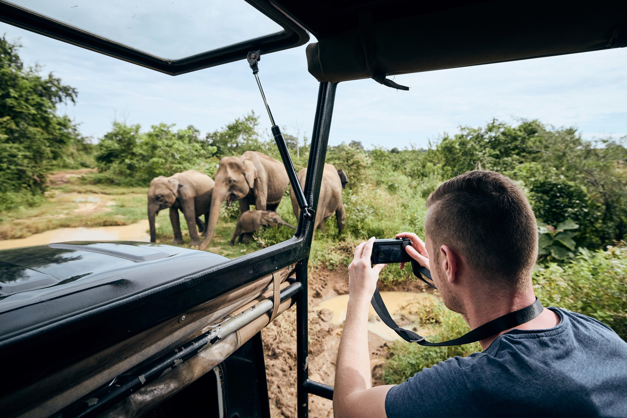 photographing of group of elephants young man on 2023 11 27 05 05 12 utc scaled