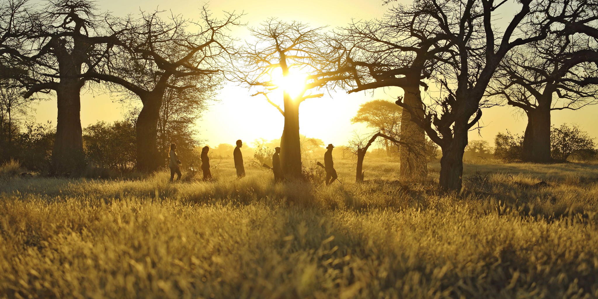 Ruaha National Park