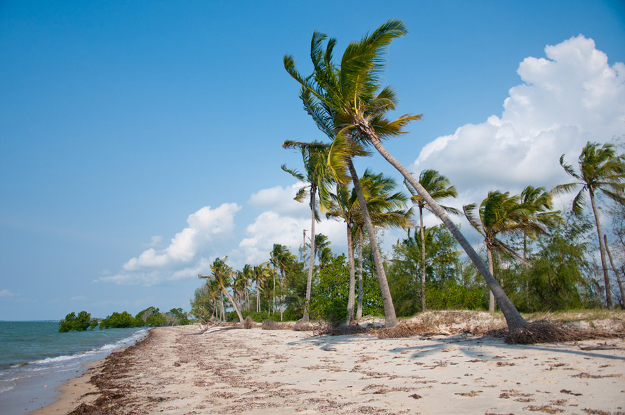 Saadani National Park