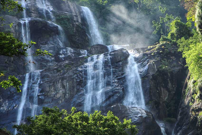 Udzungwa Mountains 1