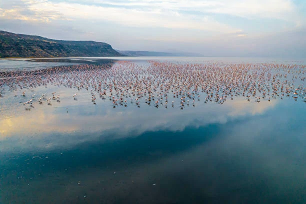 lake eyasi